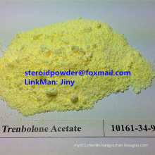 High Purity Trenbolone Acetate/Tra/Revalor-H/CAS No: 10161-34-9